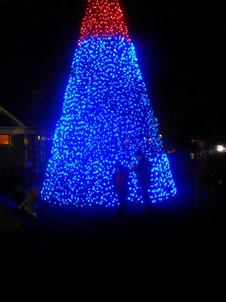 The shadows of our 2 children at Edward Hines lights