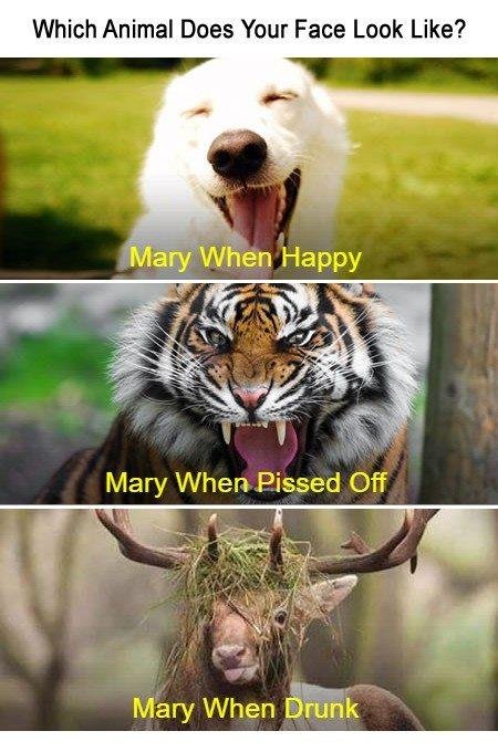 I love this!
