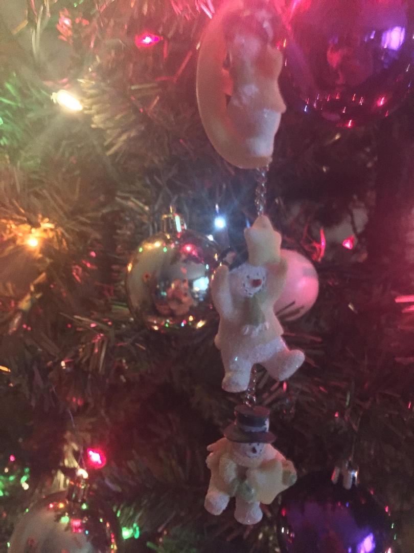 After your mom, nana (Chris to me) passed, Kari gave this ornament from her collection. Every year I hang it, eyes water, yet a warm feeling in my heart occurs at the same time. I wanted to share with you... family sometime