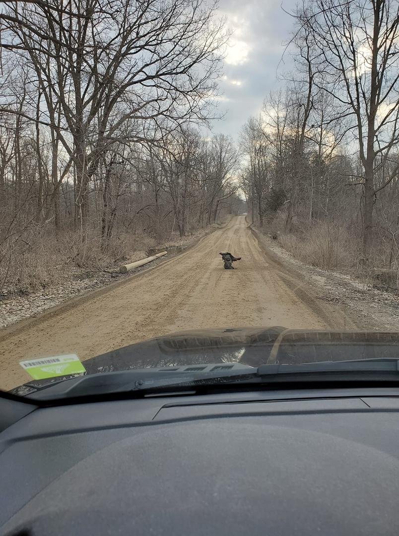 Spotted this on my way to fishing this morning. These two were definitely not practicing social distancing.