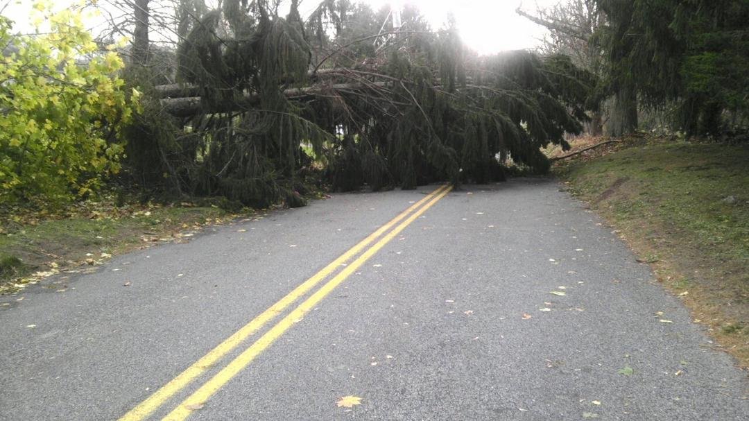 Snuck past the downed trees and wires on my street and got around the block...