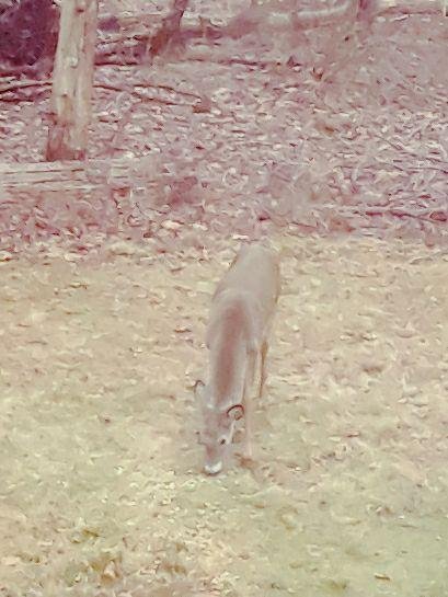 This was right in the backyard