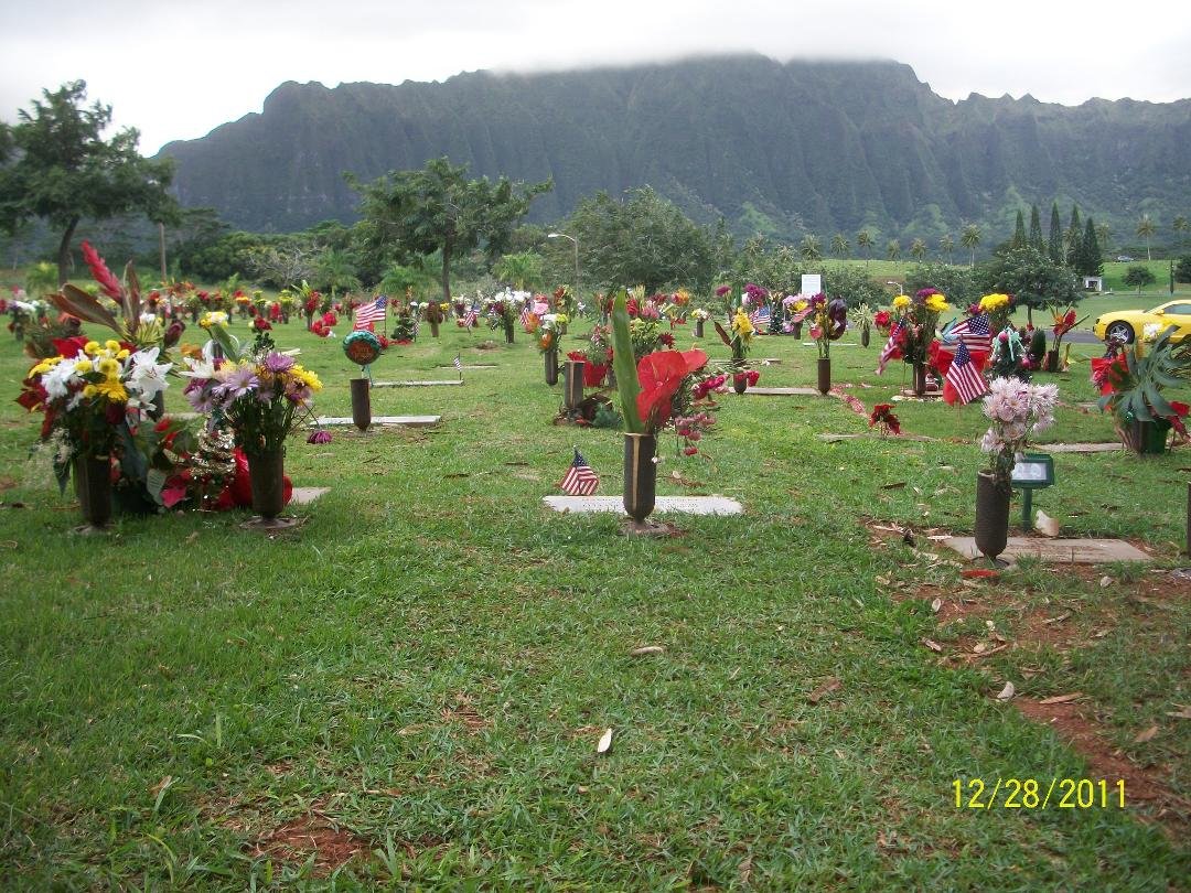 A perfect setting on the Windward side of O'ahu.  Flowers must've been there from Christmas time.  The weather was great in Seattle and Honolulu on this trip.  Now, it's back to a remote life again.  This trip was way too s