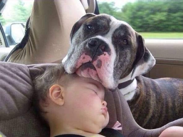 This is why Kids and Pets need each other!!!