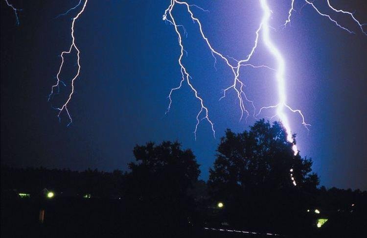 It was a concern to watch last night: Even before the first clap of thunder, Jo, an otherwise well-behaved dog, begin to pant as well as pace.
Thunderstorm phobia in dogs is real, not uncommon, and shouldn't be ignored. M