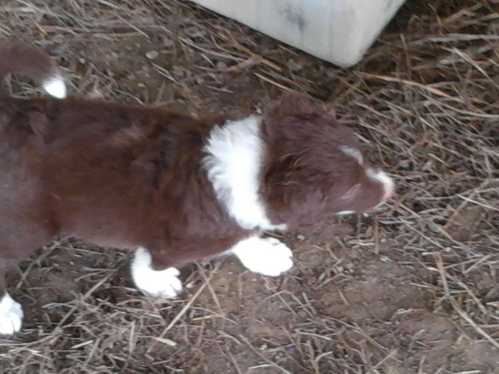 claude quick's album, Mobile uploads
