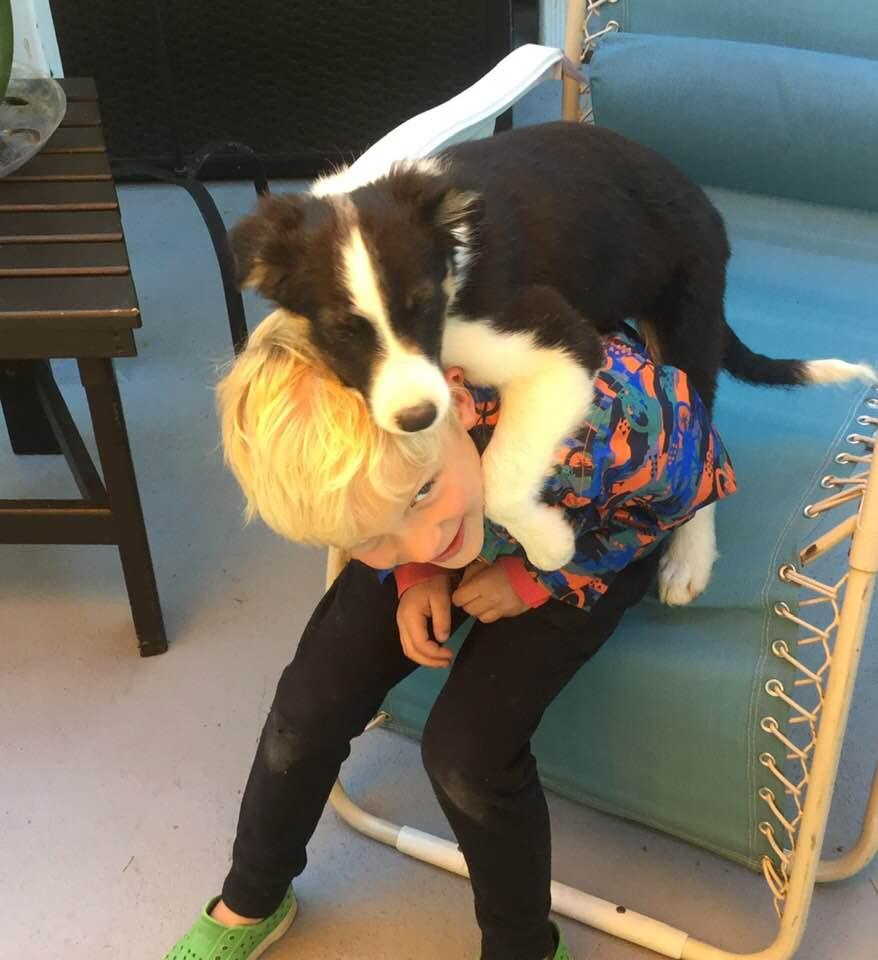 .....learning to play with an untrained puppy......priceless!