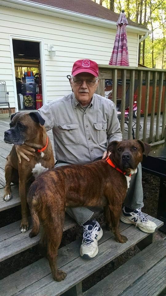 Me and my buddies keeping watch for those wily squirrels... Tank and Dozer on the alert...
