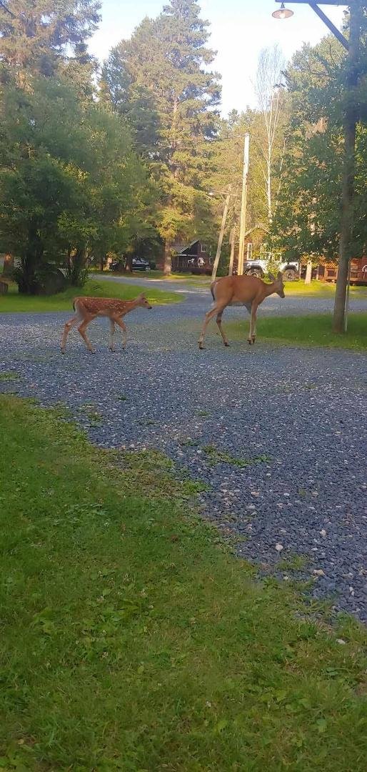 Robert Noel's album, Timeline photos