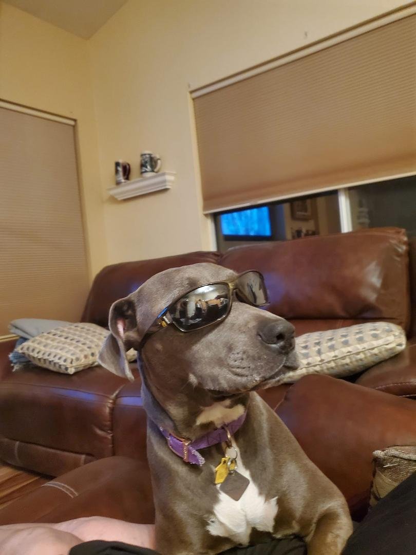 My Bud in all her Glory
