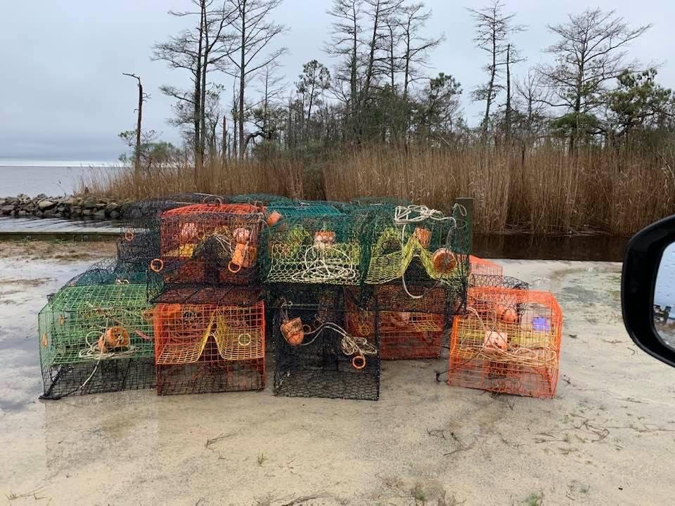 Tyrell county North Carolina off of Route 158 E. along the coast in the Outer Banks.