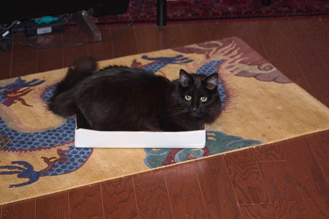 Eliot has found a new box but it wasn't in the right spot.