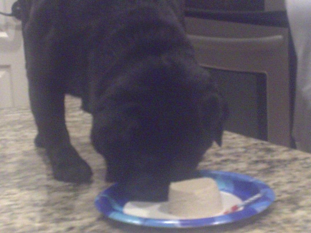 He is Four years old today