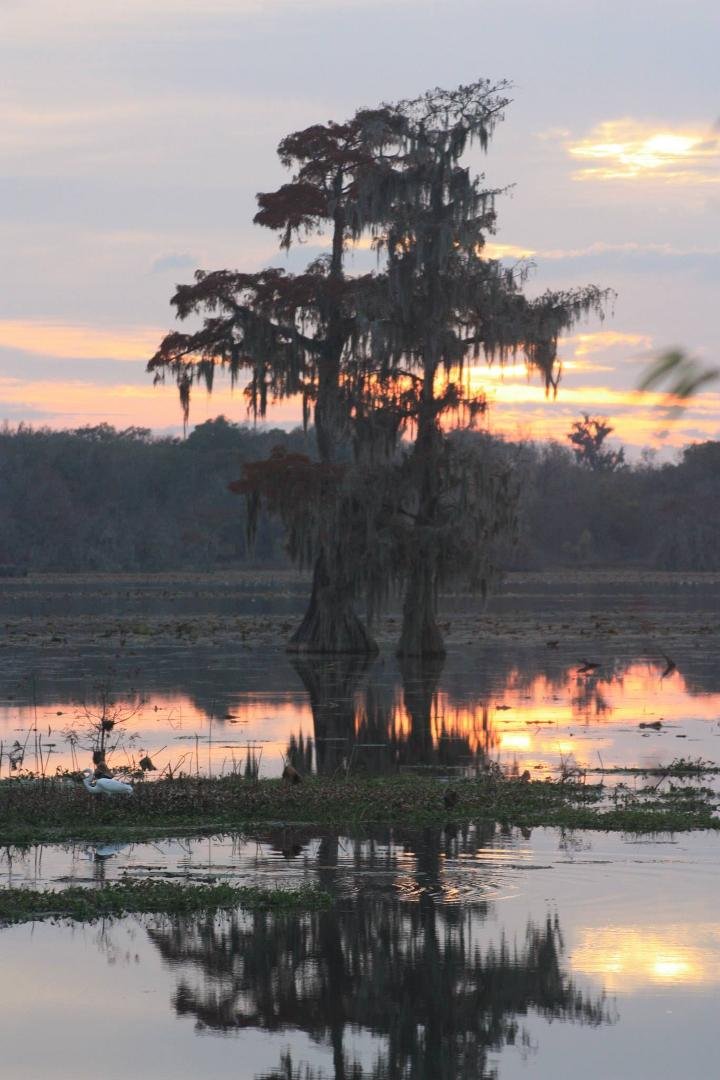 Don Swanson's album, Lafayette, LA