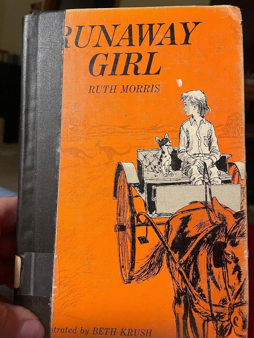 When I was a young girl, I would love to go into the libraries in my school and pull different books off the shelves and immerse myself in them. I read every Little House Book, as well as the Narnia series, but this one boo