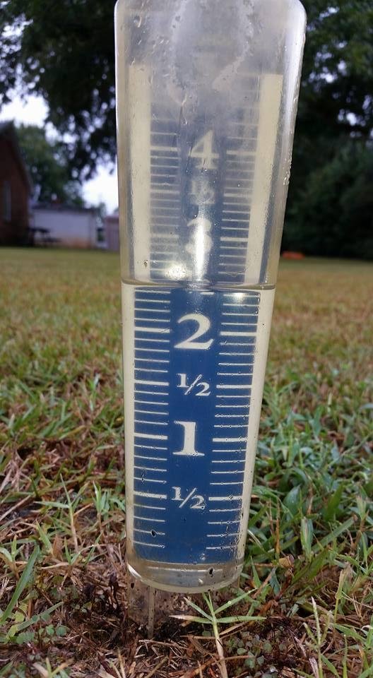 2.5 inches of rain so far....