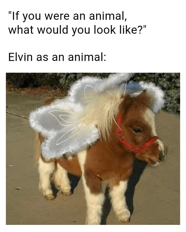 Elvin Gray's album, Mobile Uploads