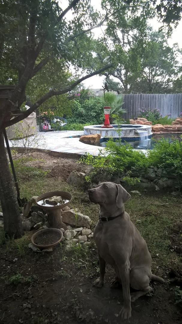 The Sunday Morning Squirrel stared down