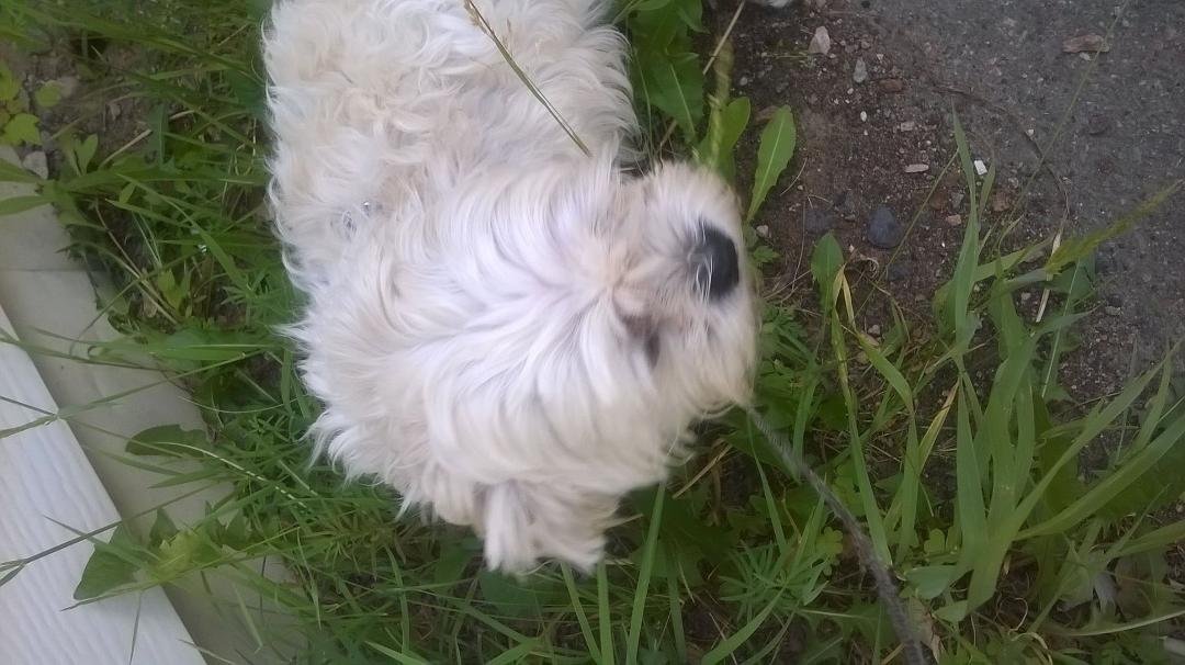 CHERRY MUNN's album, Timeline Photos