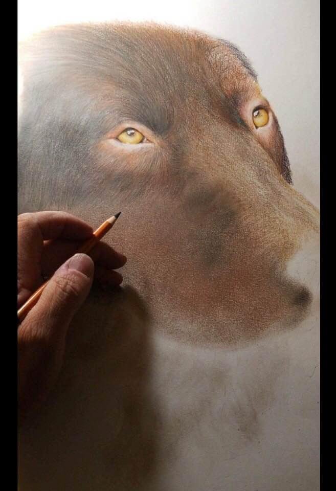 Here is a 18x 24 drawing he is doing for a client? If your interested in getting your family member done at a great rate, message him as he is getting an lot of interest in his drawings!