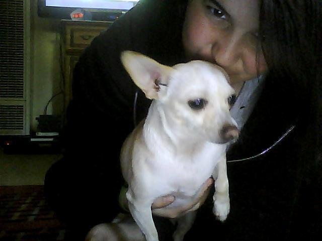 krysten and holly