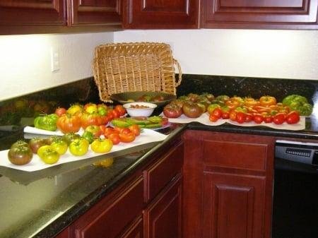 BLAST FROM MY PAST HEIRLOOM TOMATOES
Following my retirement in 2002 my wife and I relocated from Orange County to our first retirement home on two acres in the southern area of Escondido. I immediately became a gentlema