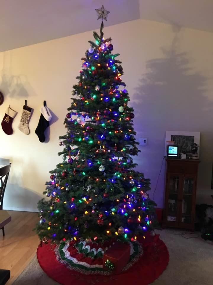 Tree from sprouffske trees thanks johnie