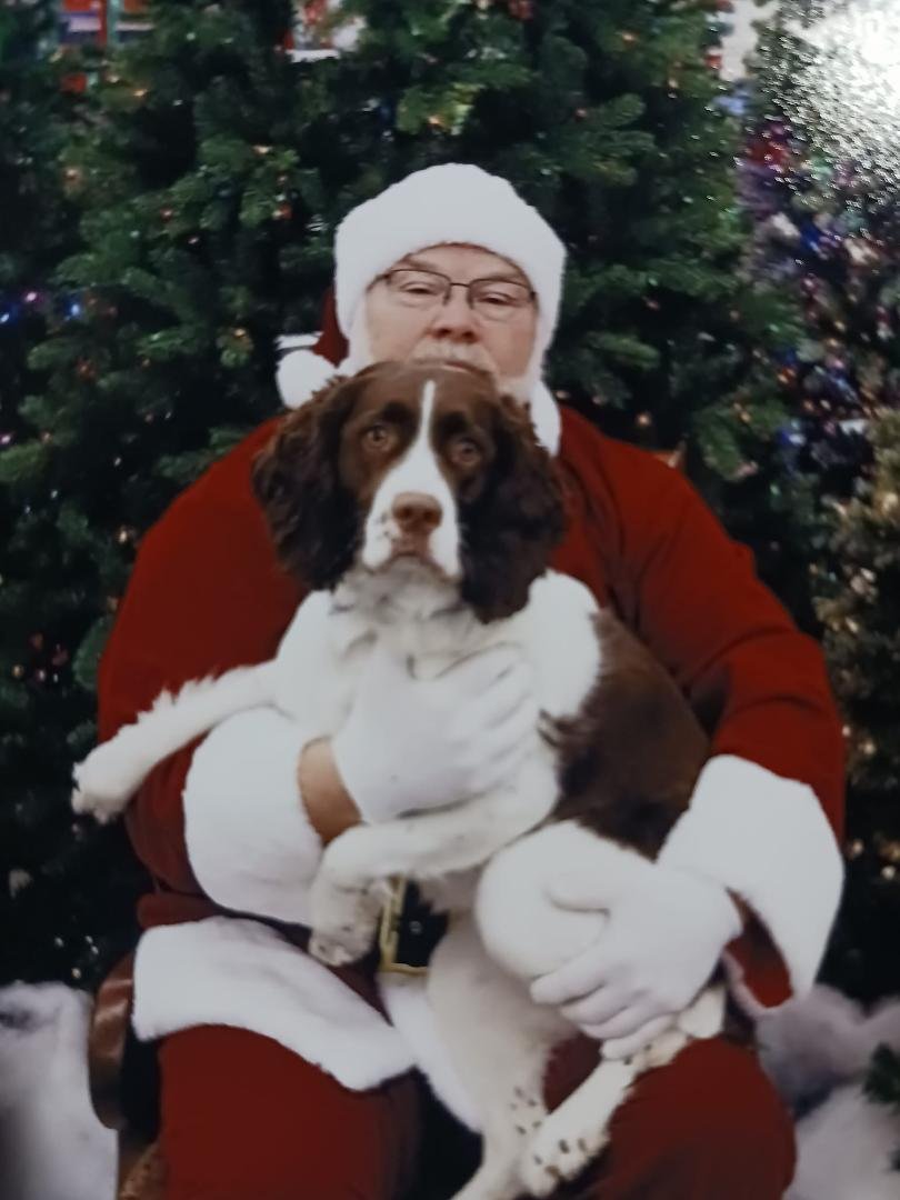Shout out to True value and Vicky's photo shop for the pet photo. Our baby Maga.