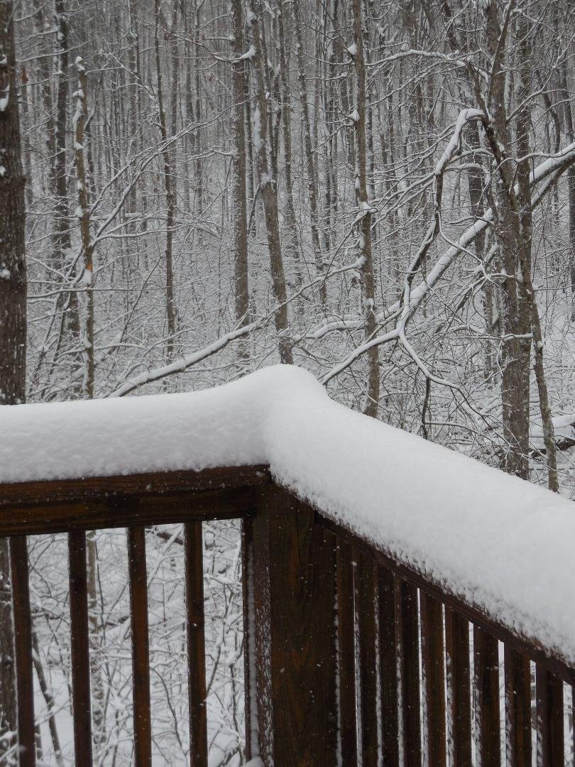 Back deck rail