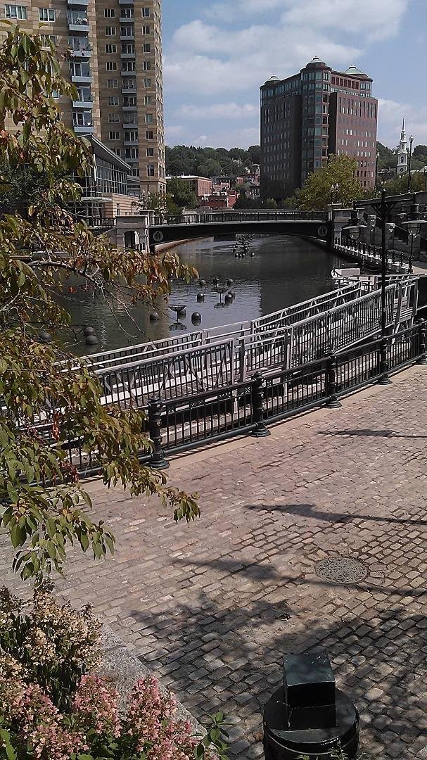 It's a beautiful day in the neighborhood...