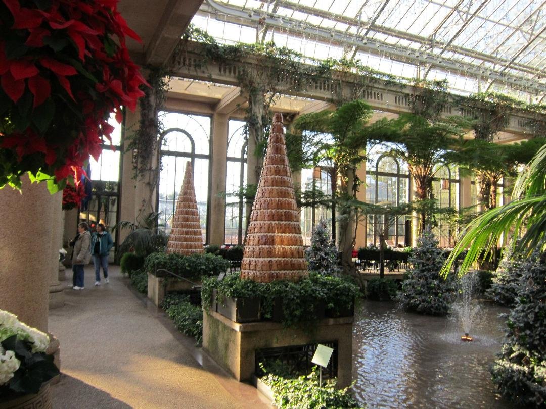 Kathleen Cunningham's album, December 17, 2011