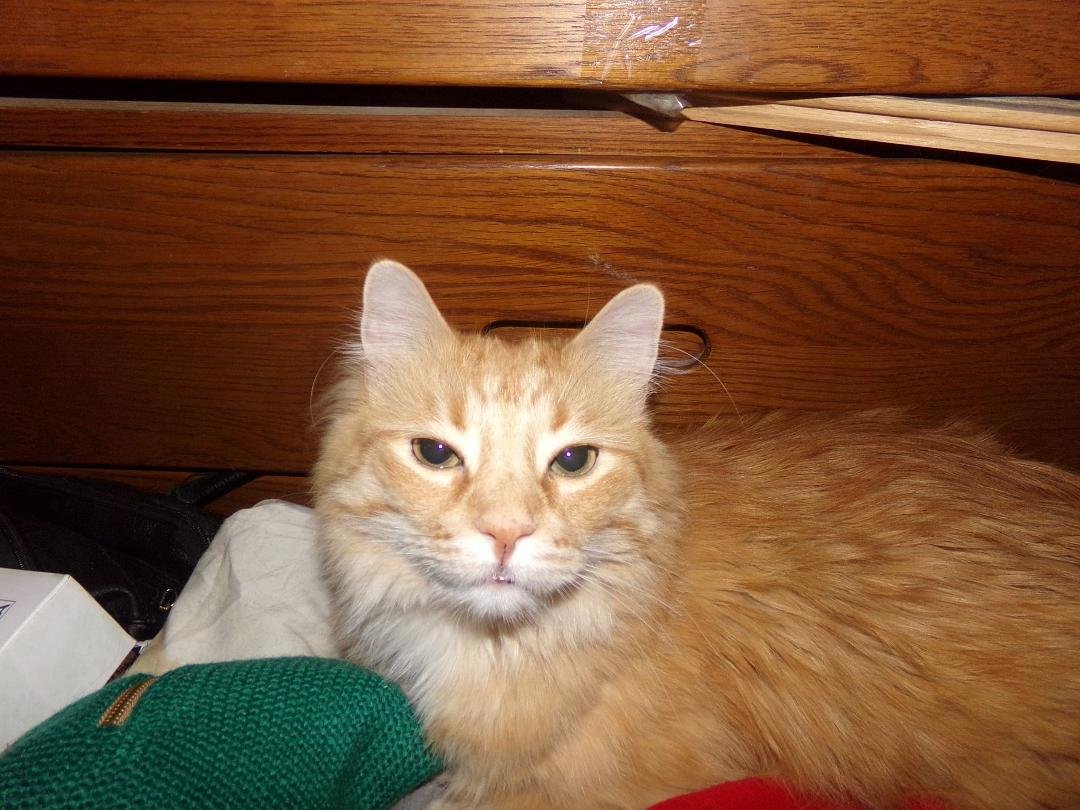 Morris smiling!