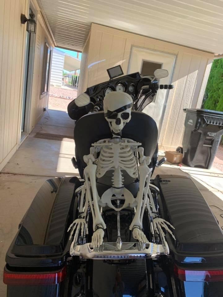 Riding partner 😳