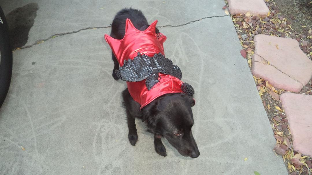 Look at my baby in his costume going trick or treating