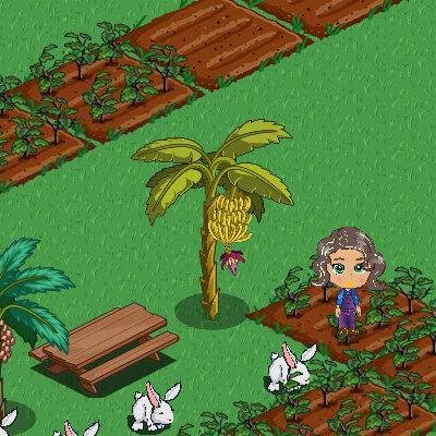 - FarmVille: http://apps.facebook.com/onthefarm/?ref=takePhoto&visitId=1819731620