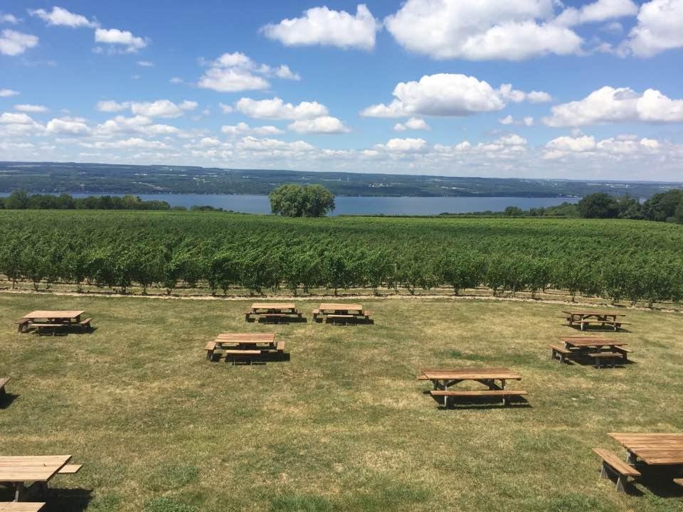 Our latest vineyard trip. Wine was great too!!
