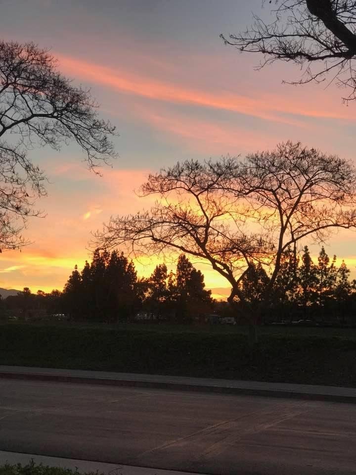 Rick Cornell's album, Timeline Photos