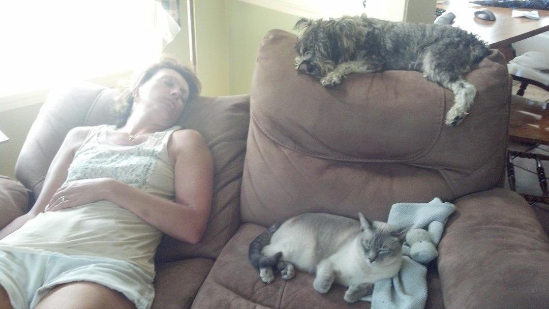 Sunday afternoon nap time!! Bev, Blue and Jake