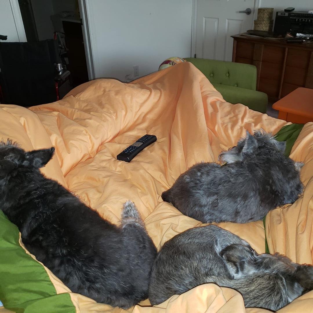 Lazy morning...it's 11AM! Guess we are staying in bed today...