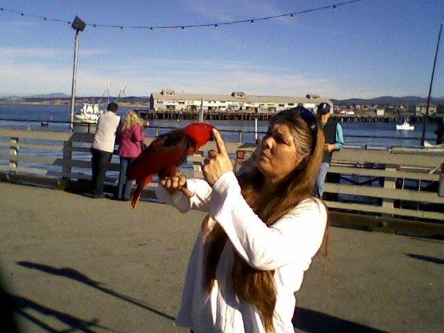 Lori Lamb's album, Mobile Uploads