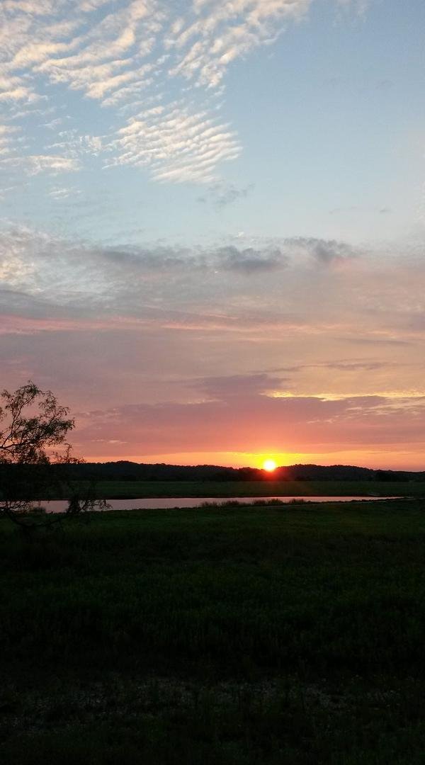 David Nelms' album, Timeline Photos