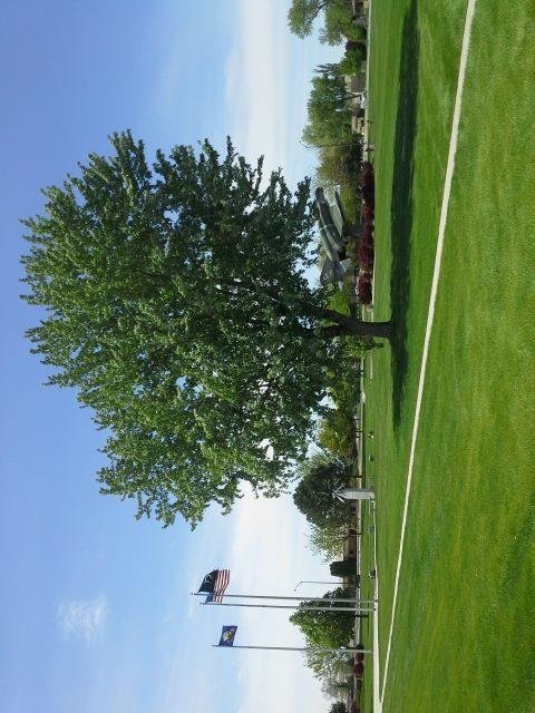Mt home air force base