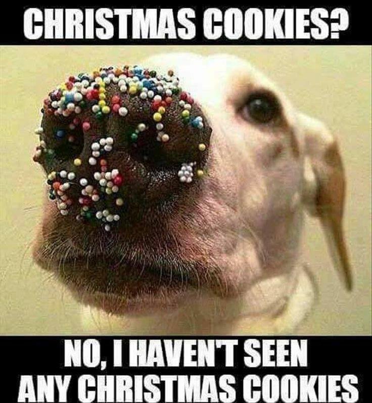 Peter Wcislo's album, Timeline Photos