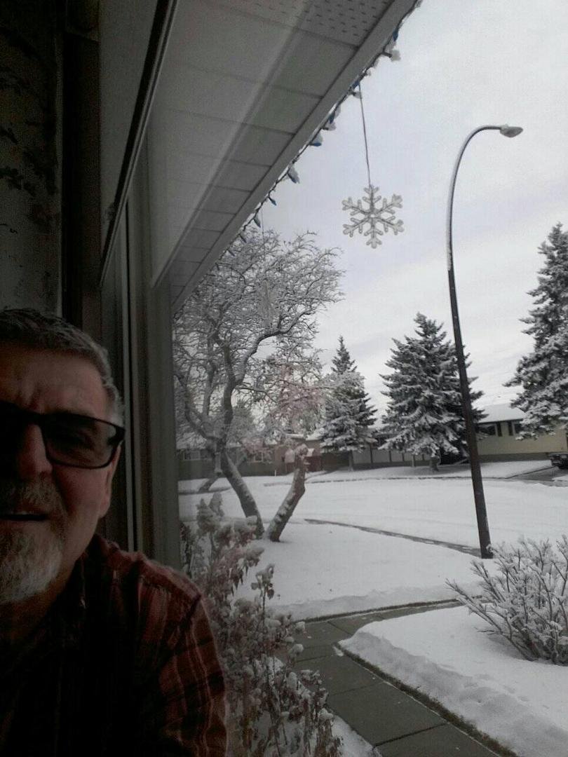 Looking a lot like Christmas everyday