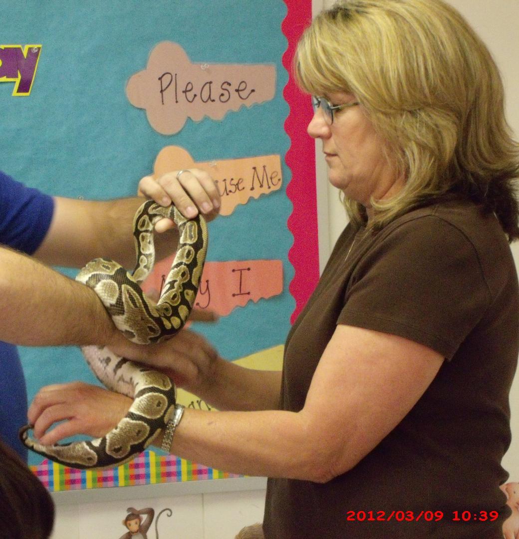 Just want everyone to know that the owner of the ball python held the head...we only held the body!  :-)