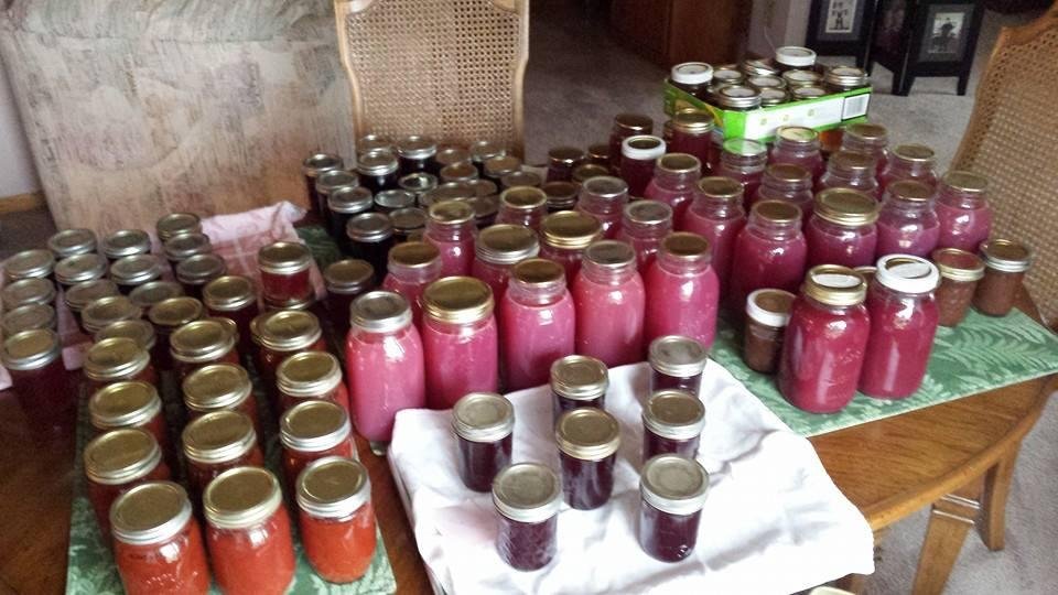 Been busy! Plum juice, chili sauce, plum, apple, grape and choke cherry jelly and apple butter.