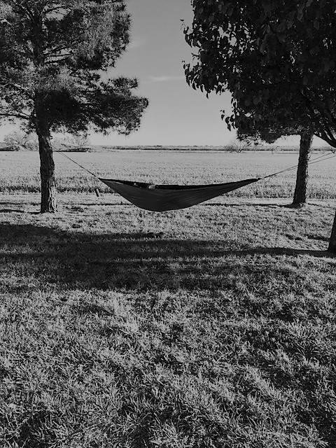 PHOTO DAY 2: thanks to Julie Dyer Harris
7 days 7 black & white photos of your life. No people. No explanation. Challenge someone creative every day.
I am challenging my friend Becky Shumake