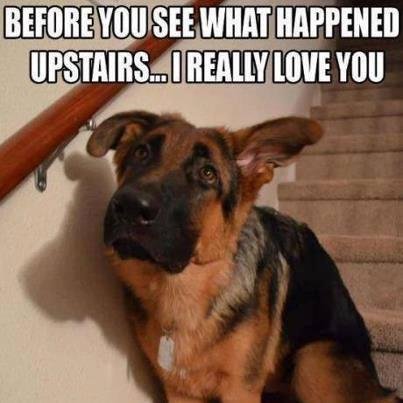 Steve Armstrong's album, Timeline Photos