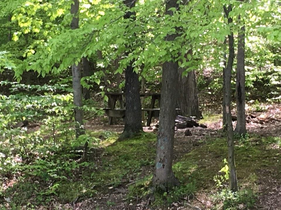 And a picnic table. Illegal in the wilderness area.