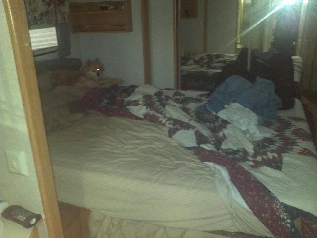 That mess was made by Cassie. I slept on the couch. She up there looking like "wud I do?"